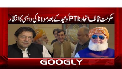 Anti-government alliance: PTI awaits Maulana's return after Eid