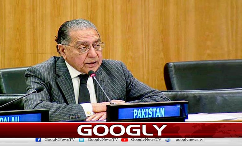 Afghanistan is sponsoring the attacks of the banned TTP: Munir Akram