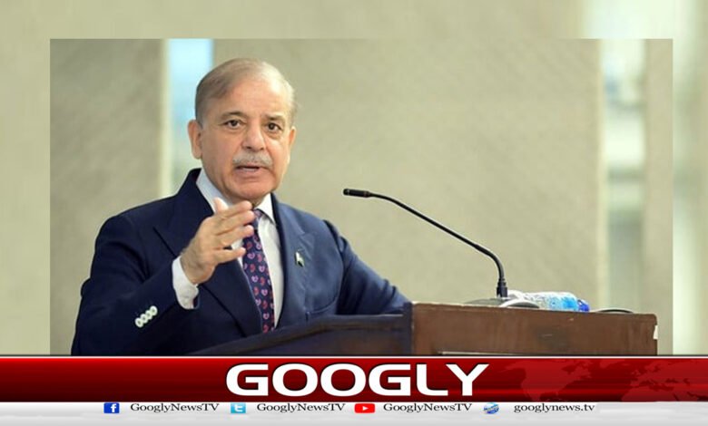 ہمیں خواتین کو زندگی کے ہر شعبے میں تربیت اور تعاون فراہم کرنا ہوگا : شہباز شریف 1 We must provide training and support to women in every sphere of life: Shehbaz Sharif