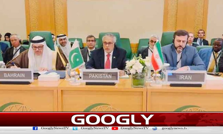 Pakistan presents proposals in favor of Gaza at OIC