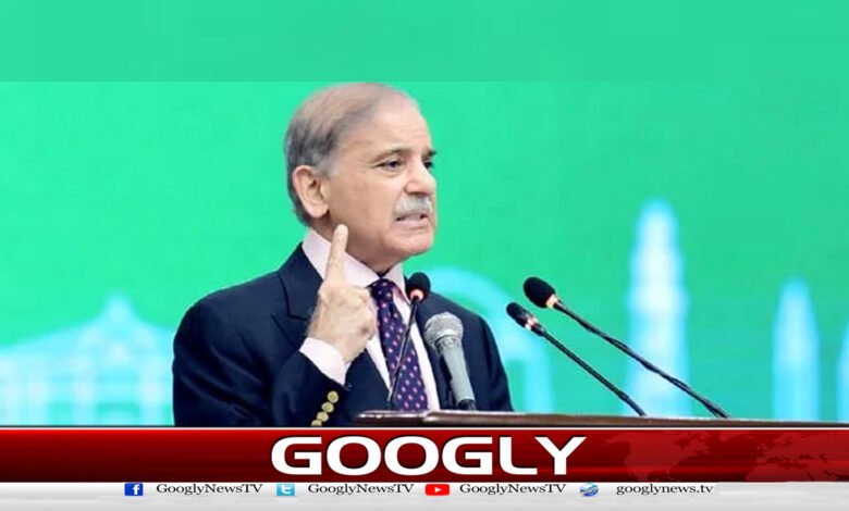 قدرت نے پاکستان کو معدنیات کی دولت سے نوازا ہے،دہشتگرد ان وسائل سے فائدہ اٹھانے سے روکنا چاہتے ہیں: وزیراعظم 1 Nature has blessed Pakistan with mineral wealth, terrorists want to prevent them from benefiting from these resources: Prime Minister