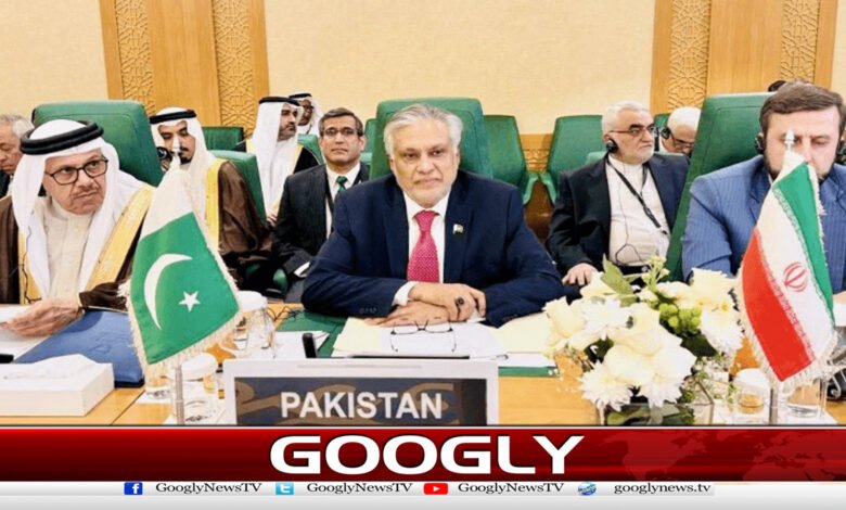 Organization of Islamic Cooperation supports Arab Gaza plan