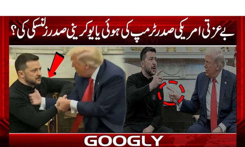 Was the insult directed at US President Trump or Ukrainian President Zelensky?