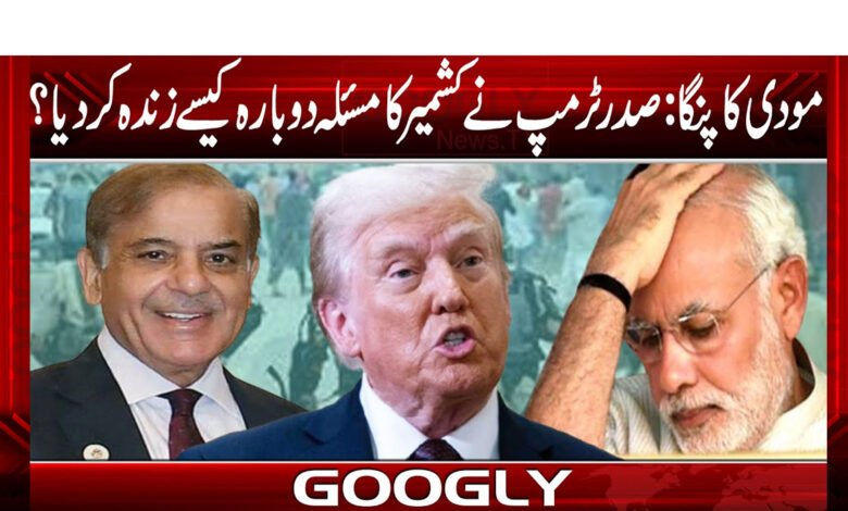 Modi's Panga: How did President Trump revive the Kashmir issue?