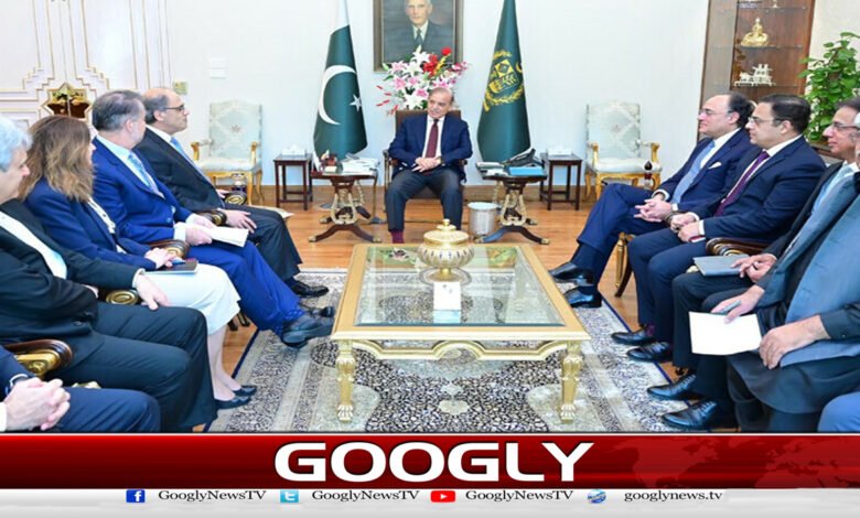 وزیراعظم کی آئی ایم ایف وفد سے ملاقات، اصلاحات پر اطمینان کا اظہار 1 Prime Minister meets IMF delegation, expresses satisfaction over reforms