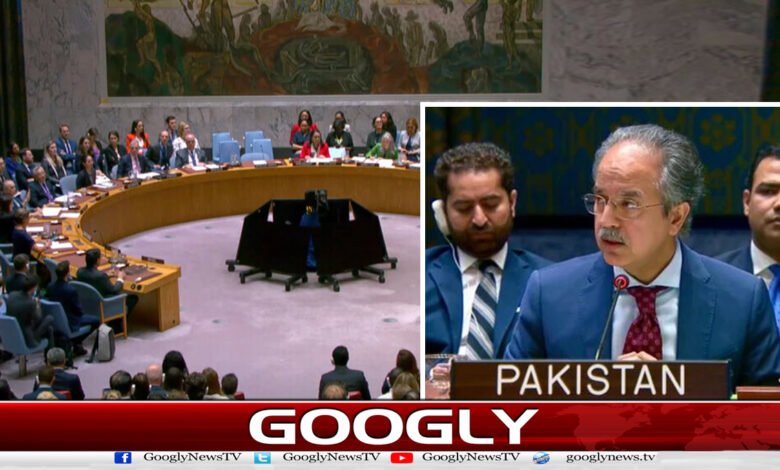 پاکستان نے غزہ جنگ بندی کی قرارداد پر امریکی ویٹو افسوسناک قرار دے دیا 1 Pakistan calls US veto on Gaza ceasefire resolution regrettable