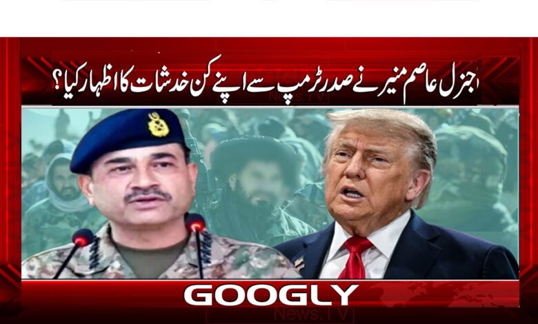 جنرل عاصم منیر نے صدر ٹرمپ سے اپنے کن خدشات کا اظہار کیا؟ 1 Current PSD 39