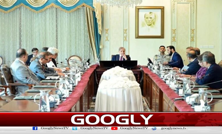 Prime Minister Shahbaz Sharif directs for early completion of Diamer-Bhasha Dam project