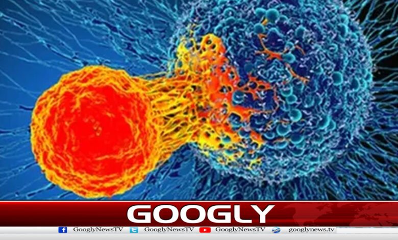 New method of cancer diagnosis discovered