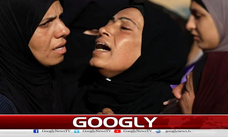 Gaza: Israeli forces open fire on people gathered in search of food, 11 Palestinians martyred