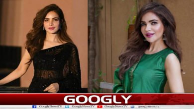 Humaira Asghar case: Police report submitted to court, detailed report sought on August 16