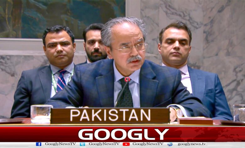 Pakistan seeks peaceful resolution of disputes in accordance with UN Charter