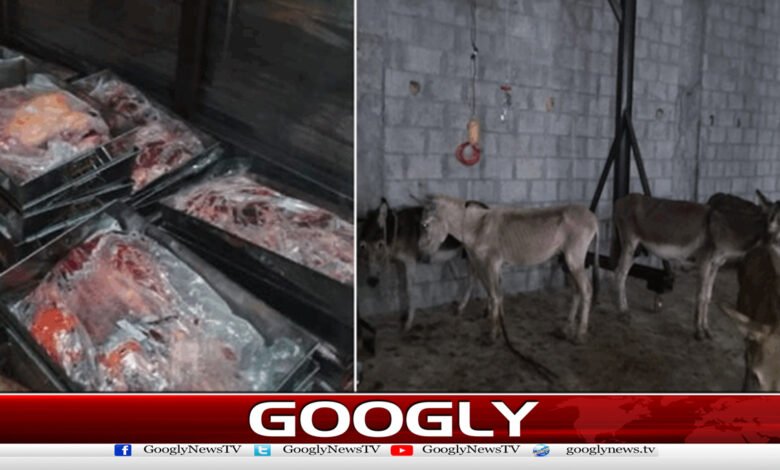 Donkey meat being sold in Islamabad revealed
