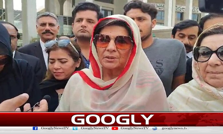 Imran Khan's sons' nicopes have gone missing, visas have been applied on British passports: Aleema Khan