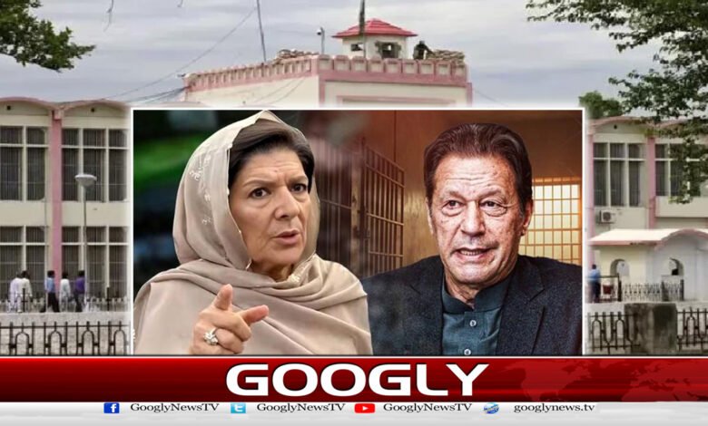 Aleema Khan files a request for Imran Khan's medical examination