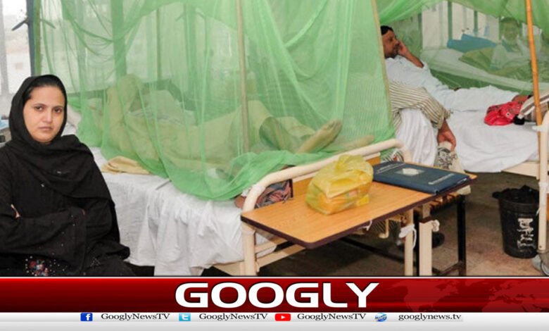 Dengue cases increase during rains in Rawalpindi