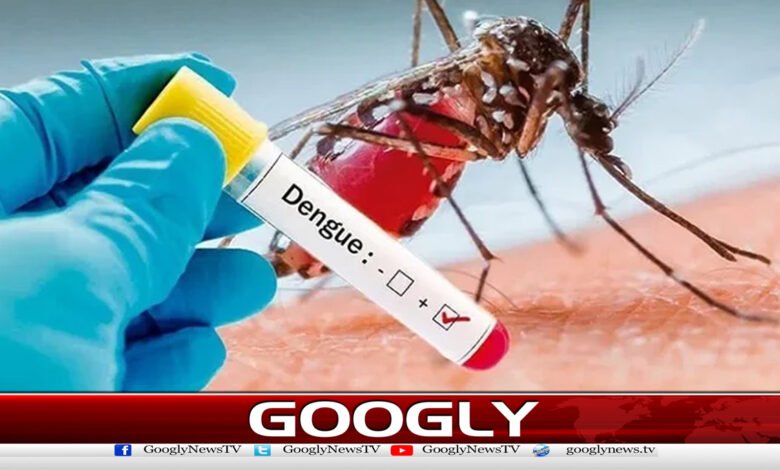 Dengue outbreak expected in Khyber Pakhtunkhwa, 56 more cases confirmed