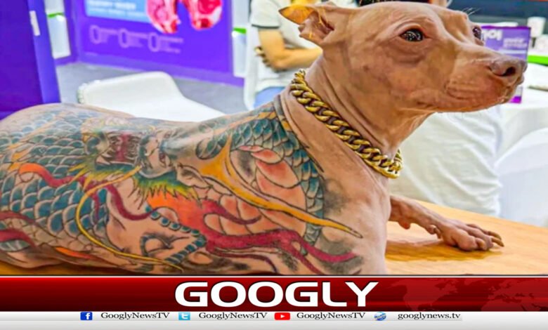 Chinese man faces criticism for tattooing pet dog