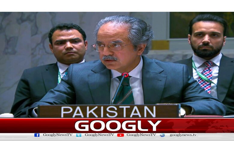 Pakistan calls on UN to end unimaginable suffering of Palestinians