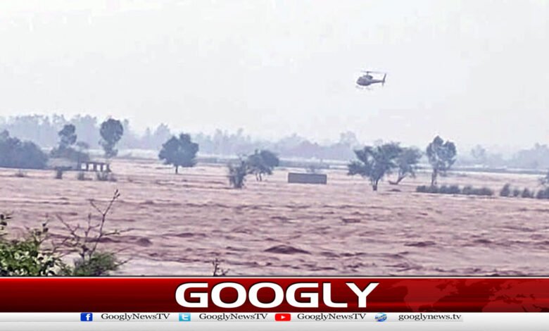 How much damage was caused by the floods in Punjab? Details have been revealed.