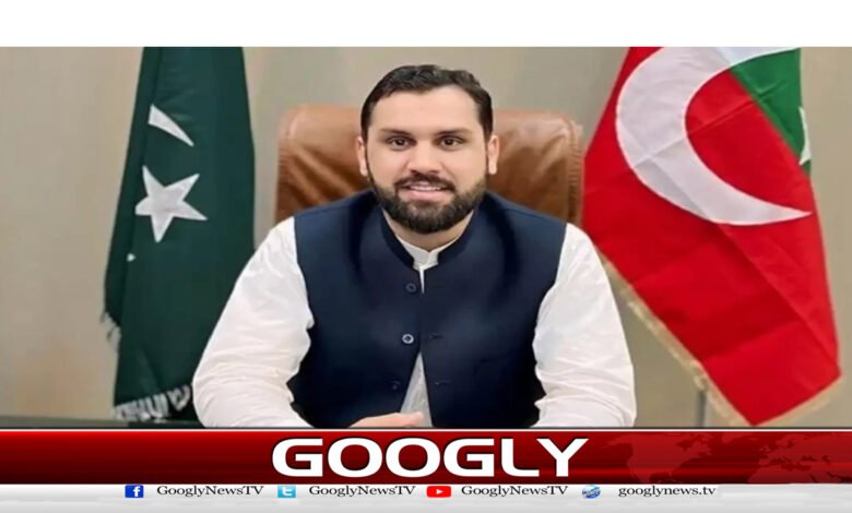 No plans for Islamabad march on August 5, rallies will be held at district level: Meena Khan Afridi