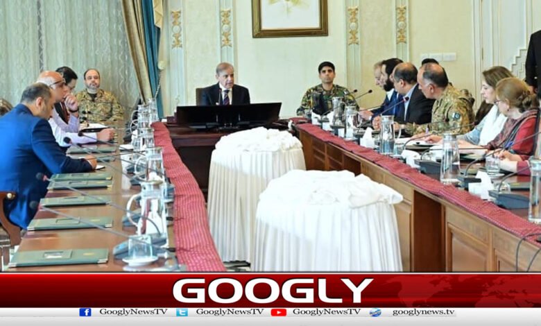 وزیراعظم کی پنجاب میں سیلاب سے نمٹنے کیلئے ہنگامی اقدامات کی ہدایت 1 Prime Minister directs emergency measures to deal with floods in Punjab