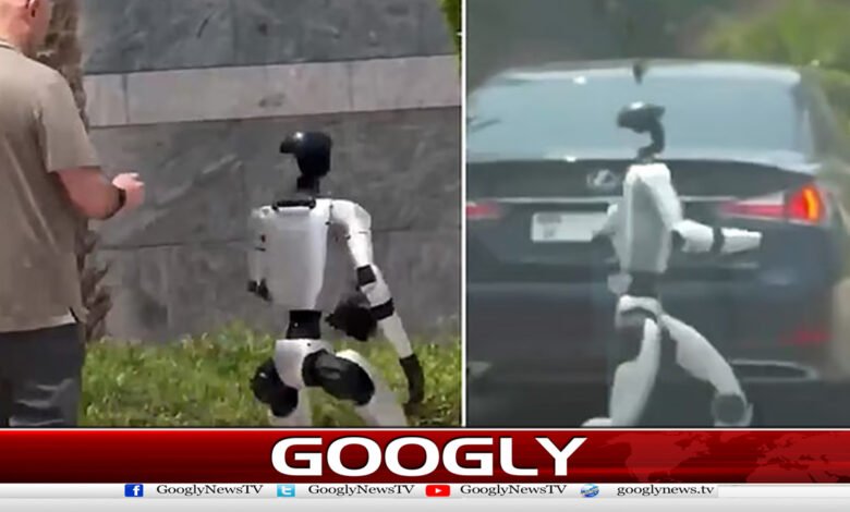 Robots race on Dubai streets, citizens are surprised