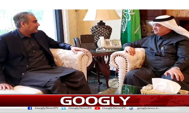 Interior Minister meets Saudi ambassador, thanks him for Saudi role in Pak-India tension