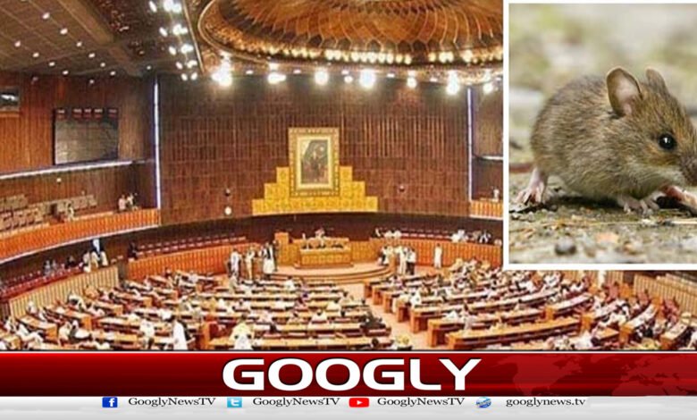 After the National Assembly, the Senate also approved the Petroleum Amendment Bill.