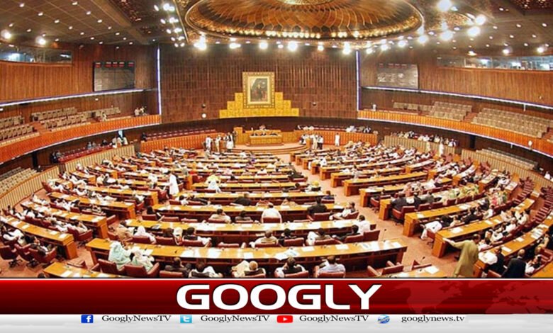 National Assembly passes resolution condemning Indian actions on Exploitation Day
