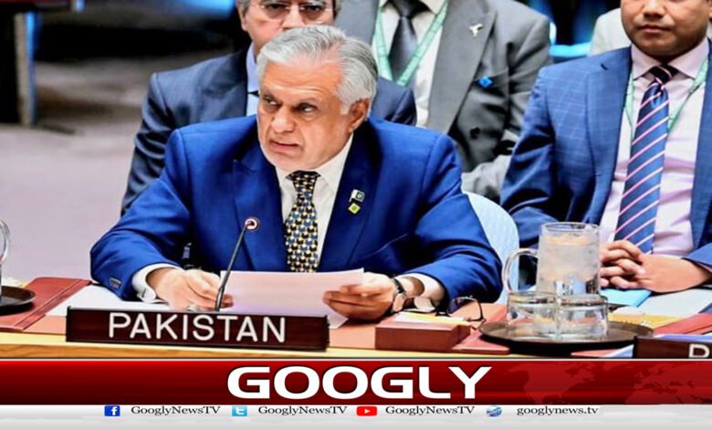 عالمی برادری اسرائیل کو انصاف کے کٹہرے میں لائے : اسحاق ڈار 1 The international community should bring Israel to justice: Ishaq Dar