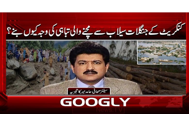 4 کنکریٹ کے جنگلات سیلاب 1