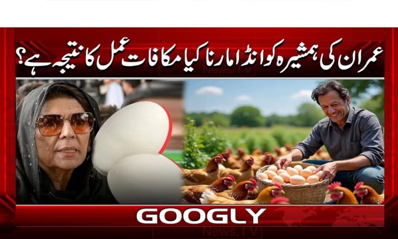 Is egging Imran's sister the result of a retaliatory action?