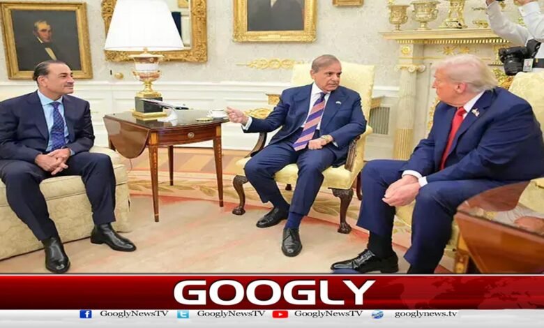 Trump-Shehbaz meeting discusses measures against terrorism and promotion of peace and security in the region.