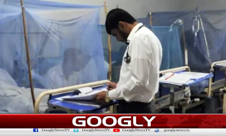 راولپنڈی میں ڈینگی کے 16 نئے کیسز رپورٹ 1 16 new dengue cases reported in Rawalpindi