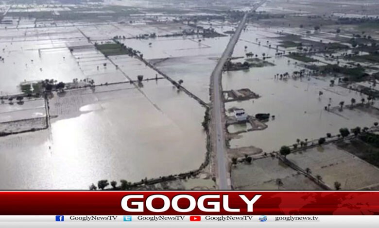 Chenab wreaked havoc in Shujaabad, Rahim Yar Khan, Rajanpur, Vehari