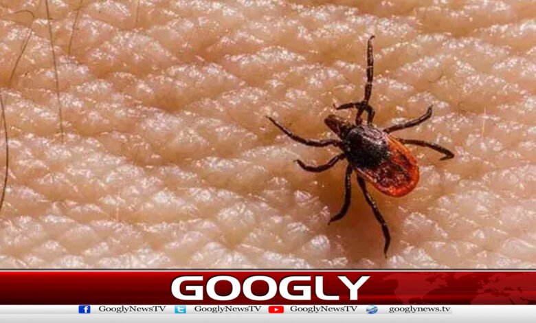 Another patient infected with Congo virus dies in Karachi