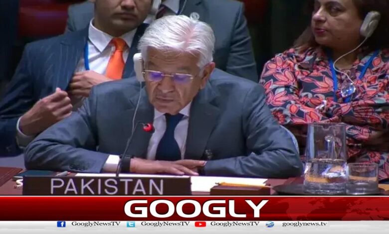 سلامتی کونسل اجلاس: شمع جونیجو پاکستانی وفد میں شامل نہیں تھیں، وزارتِ خارجہ 1 Security Council meeting: Shama Junejo was not part of the official delegation, Ministry of Foreign Affairs