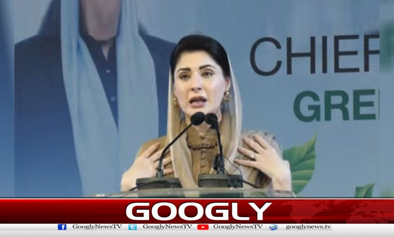 Keep those who interfere in Punjab's affairs at bay, Maryam Nawaz