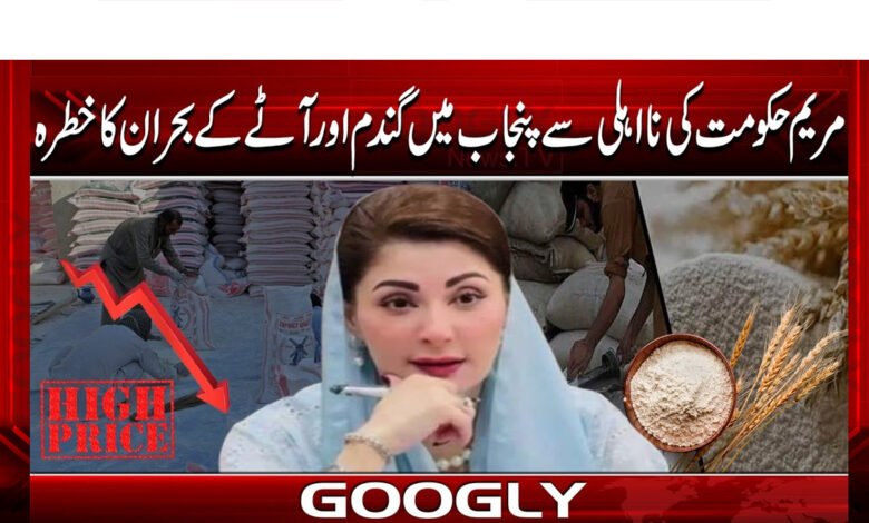 The incompetence of Maryam government threatens wheat and flour crisis in Punjab