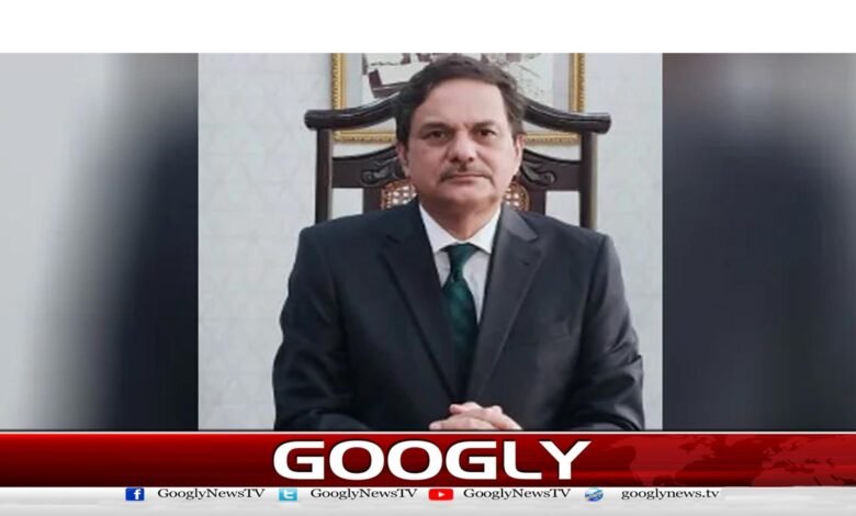 Prime Minister appoints Mansoor Qadir as PCB Election Commissioner