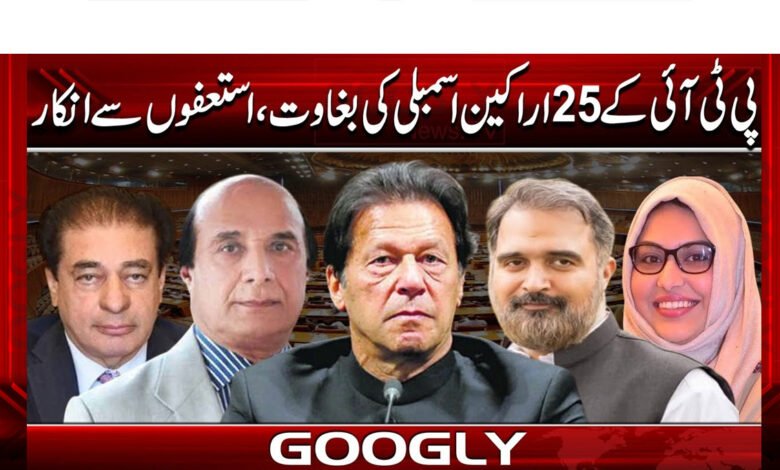 پی ٹی آئی کے 25اراکین اسمبلی کی پارٹی قیادت سے بغاوت،استعفوں سےانکار 1 25 PTI MLAs rebel against party leadership, refuse to resign