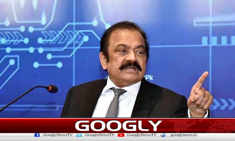 Those criticizing Punjab cannot compete with Maryam Nawaz's plans: Ranasana