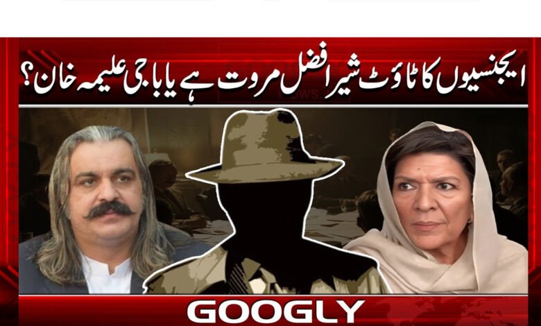 Is the agencies' tout Sher Fazal Marwat or Baji Aleema Khan?