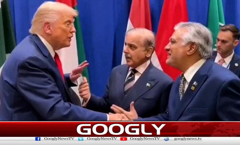 Shehbaz Sharif welcomes Trump's Gaza peace deal