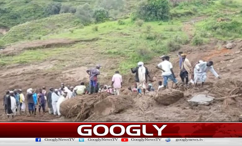 1,000 people killed in landslides in Sudan
