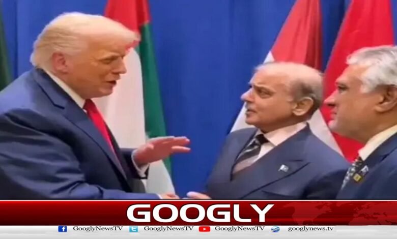 اقوام متحدہ اجلاس: ٹرمپ کی شہباز شریف سےخوشگوار موڈ میں غیر رسمی گفتگو 1 UN meeting: Trump holds informal talks with Shehbaz Sharif in a friendly mood
