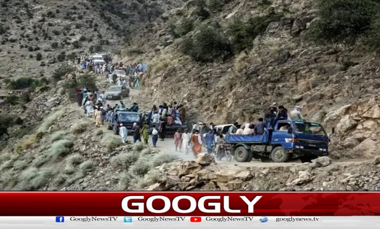 Expulsion of Afghan refugees: UN appeals for leniency on humanitarian grounds