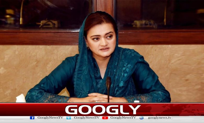 PPP should have the courage to listen to criticism: Marriyum Aurangzeb