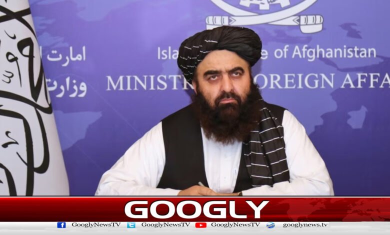 Afghan Foreign Minister calls attack on border areas a big mistake by Pakistan